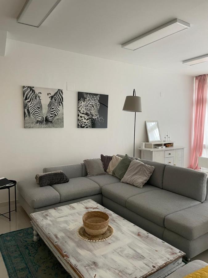 Stadtsuite Mit Sauna In Wiener Neustadt 135 M2 Exteriör bild