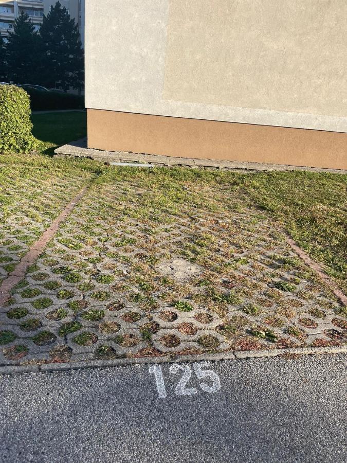 Stadtsuite Mit Sauna In Wiener Neustadt 135 M2 Exteriör bild