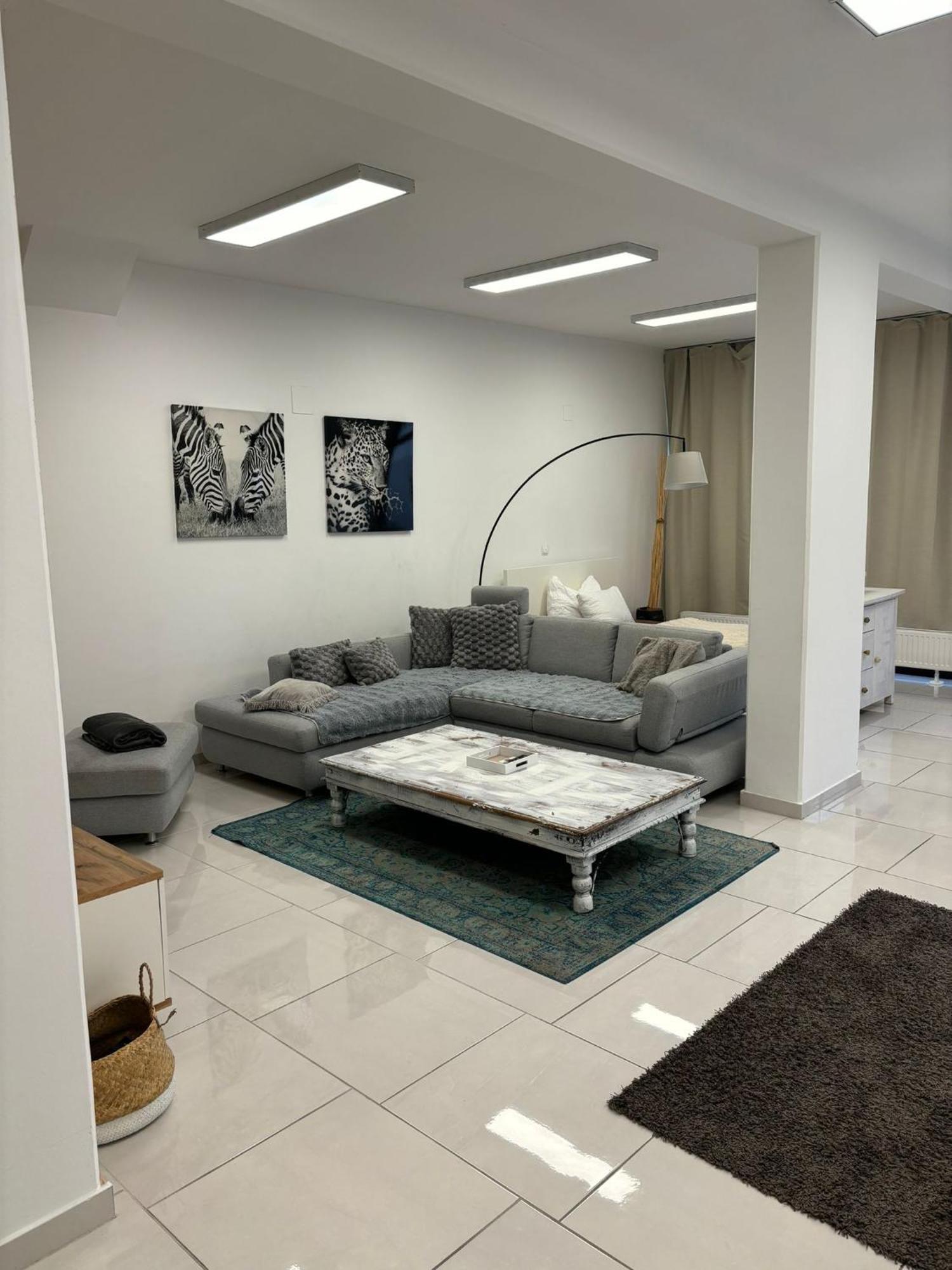 Stadtsuite Mit Sauna In Wiener Neustadt 135 M2 Exteriör bild
